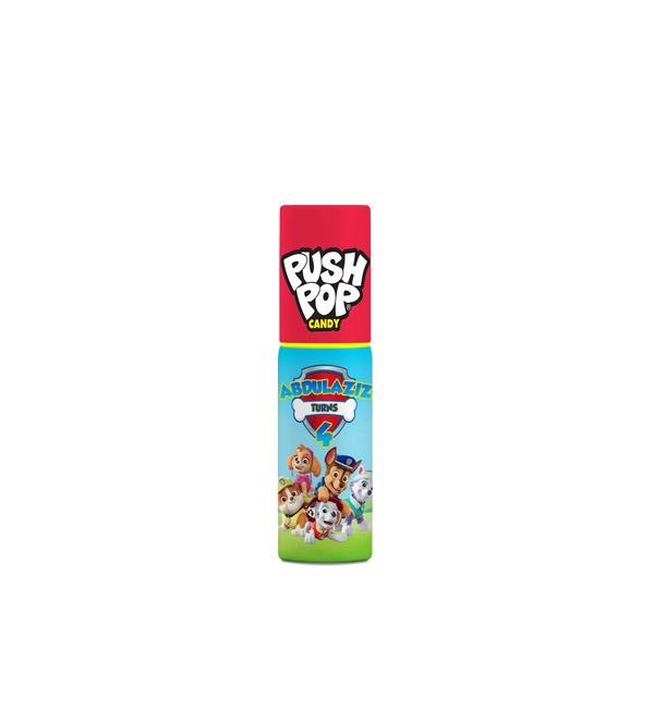 Paw Patrol Push Pop
