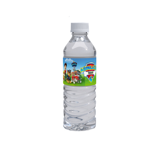 Paw Patrol Water